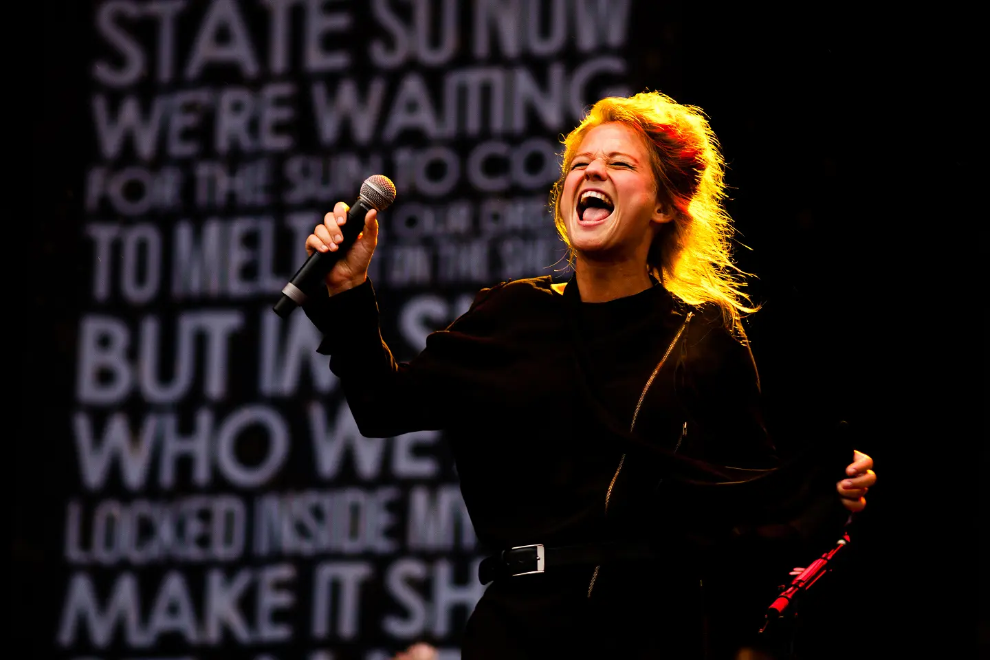 A Beginner’s Guide to French Wine Regions: Where to Start Your Journey.